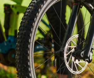 A sports bicycle races through the park, its components in focused motion spinning wheels, agile pedals, and sleek handlebars creating a dynamic spectacle of athleticism and speed against the backdrop of lush greenery